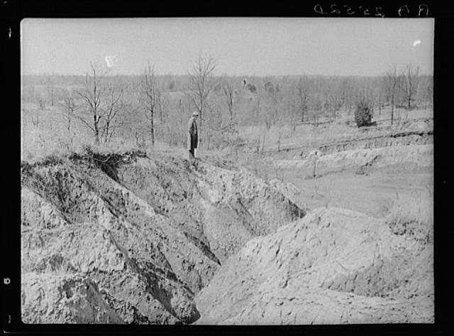 Erosion gully on Coalins Forest and Game Reservation...