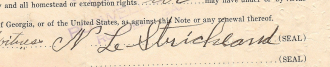 Noah L. Strickland Signature