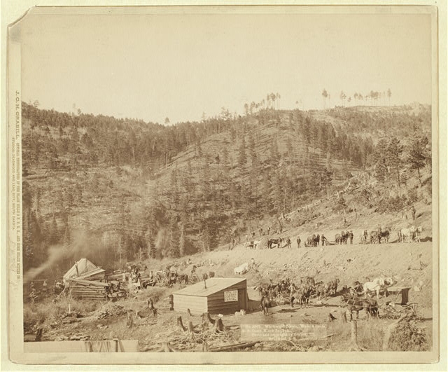 Whitewood Canyon, Wade and Jones R.R. Camp, Black So. Dak.