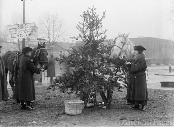 Christmas Tree for Horses, 1918