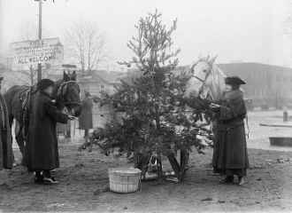 Christmas Tree for Horses, 1918