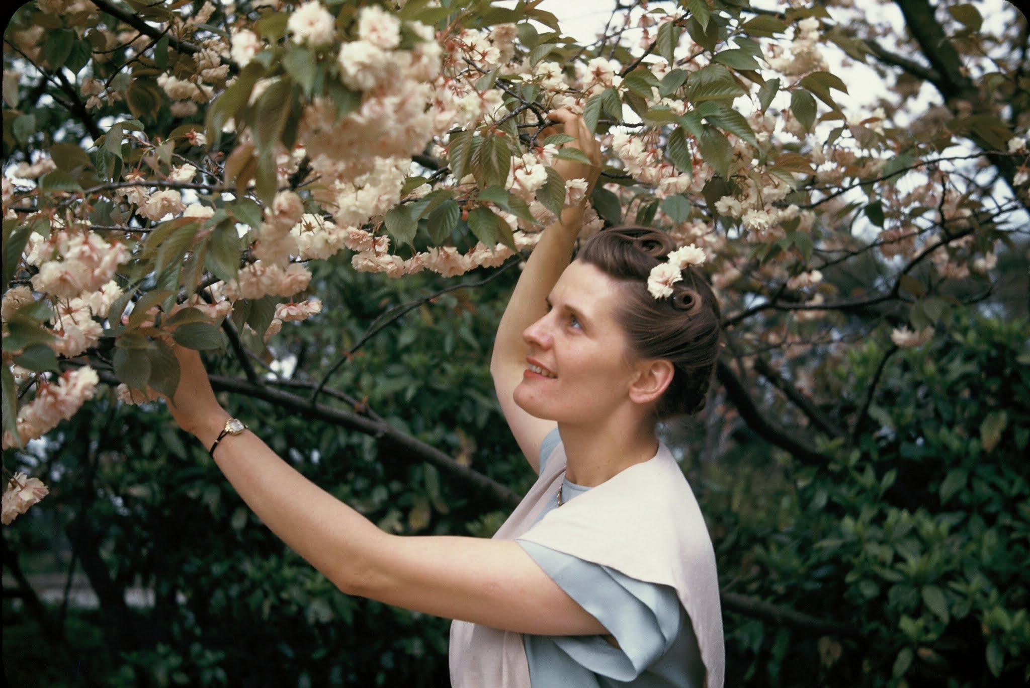 Josephine S Krostek