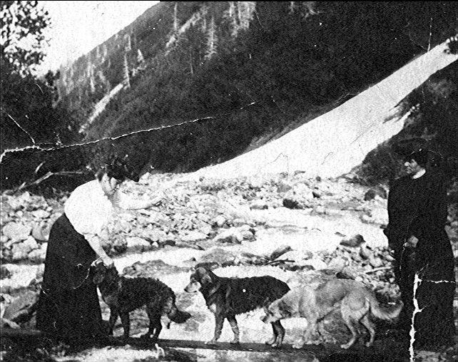 Two ladies and group of dogs in the mountains