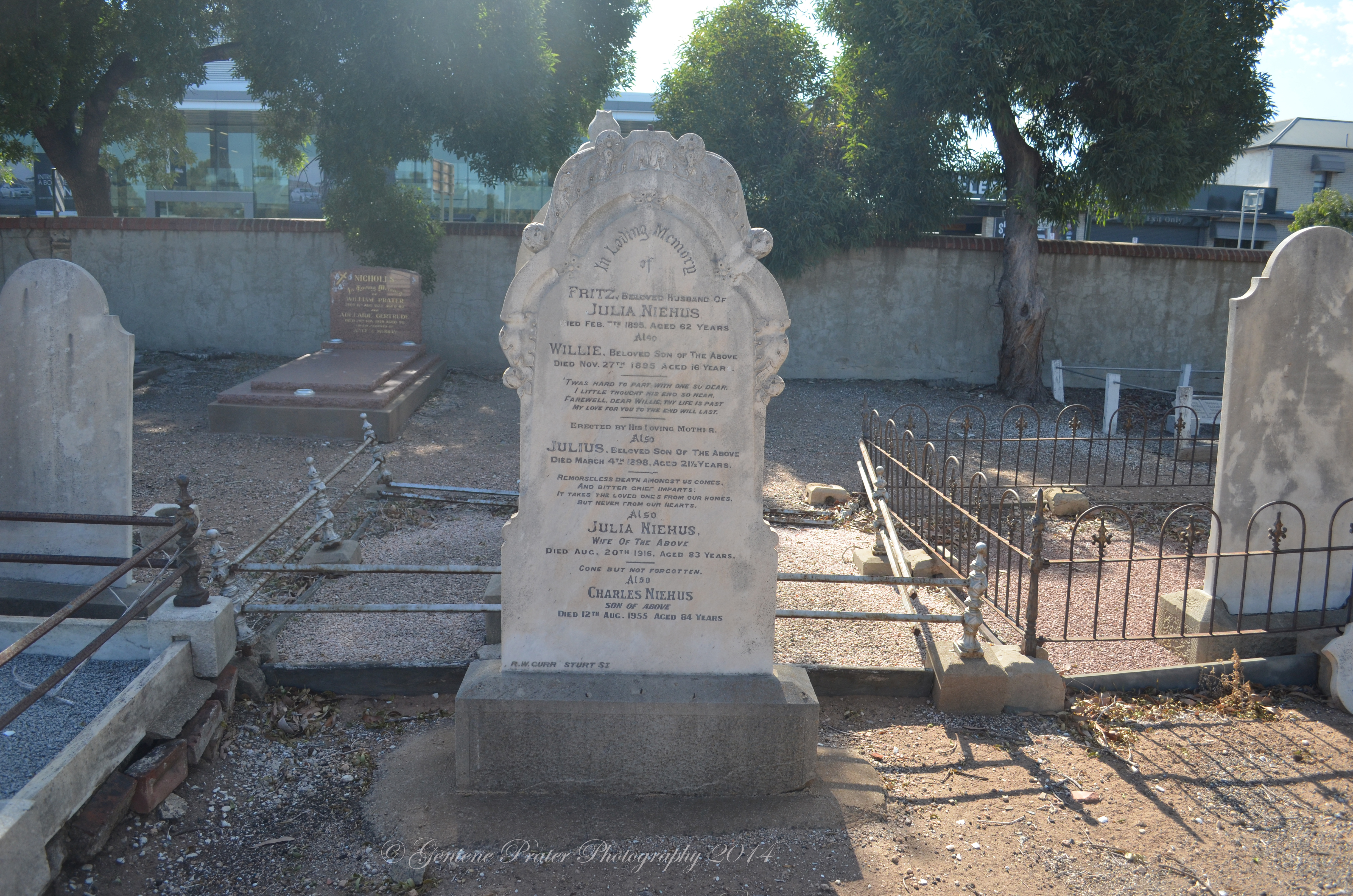 Julia (Giffhorn) Niehus Gravesite