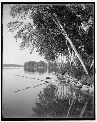 [Upper Saranac Lake, along the shore, Adirondacks, N.Y.]