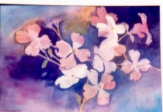 Dogwood flowers - Watercolor by Fred Halkett