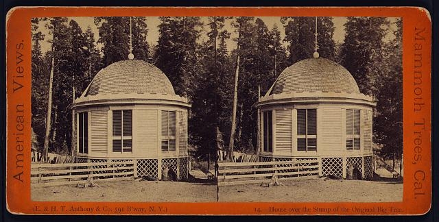 House over the stump of the Original Big Tree