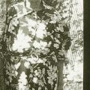 A photo of Kirsten Marie Sorensen Jensen Danielson