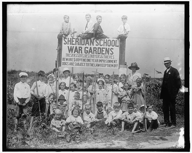 War Garden: Sheridan School