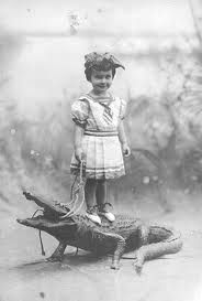 Gator? Croc? Gator? Croc?