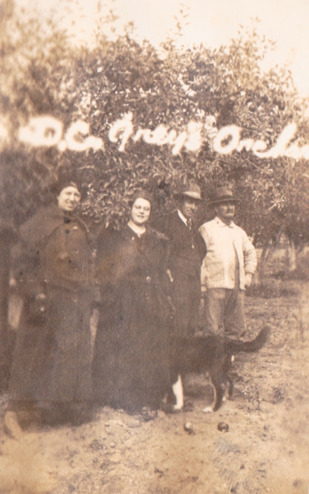 Photo in the Orchards