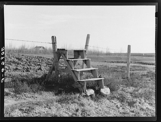 Steps for crossing barbed wire fence. Sheridan County,...