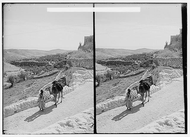 Valleys of Jehoshaphat and Hinnom. Valley of Hinnom from...