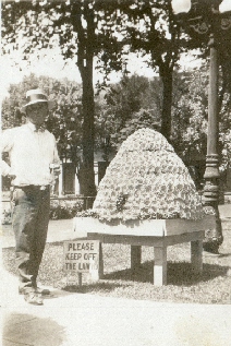 Bee Hive in Temple Square