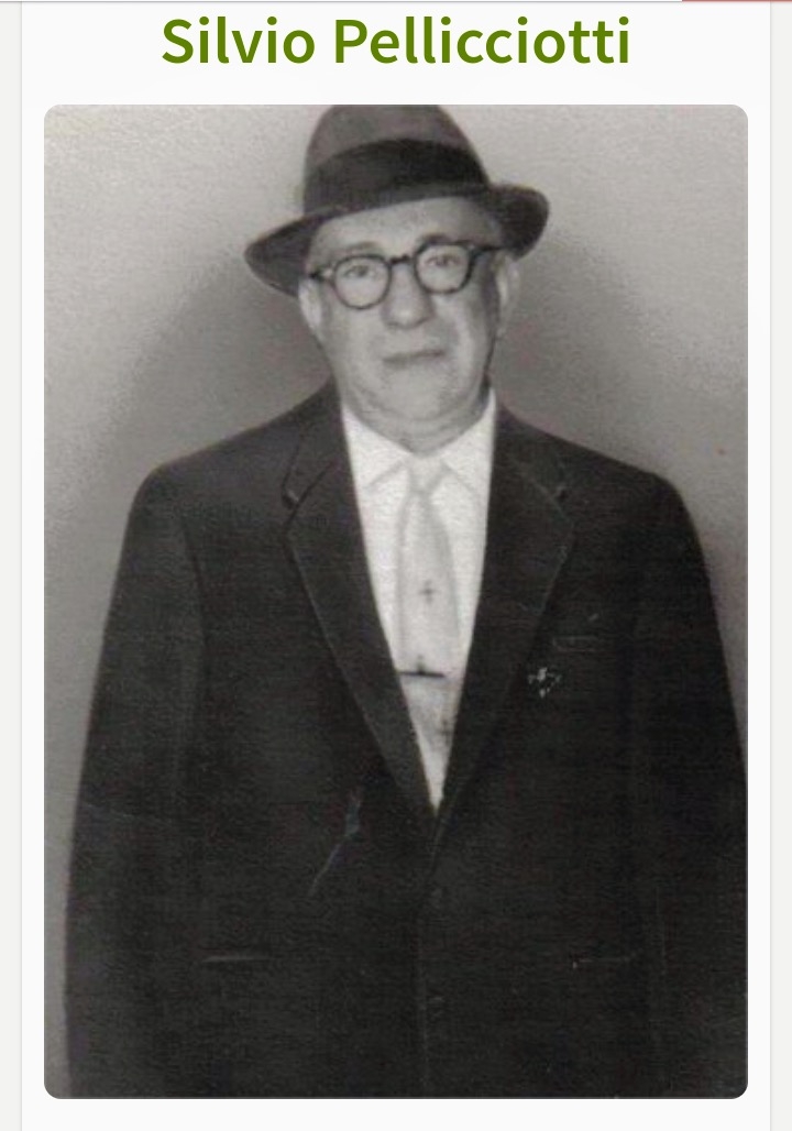 Silvio Pellicciotti