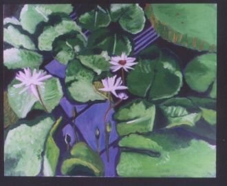 Yvette Raderman's water lillies