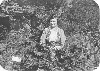 A Woman amidst Ferns