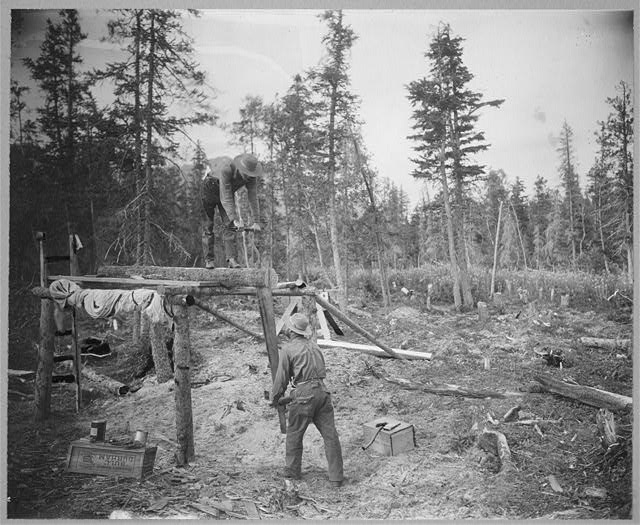 Sawing a log