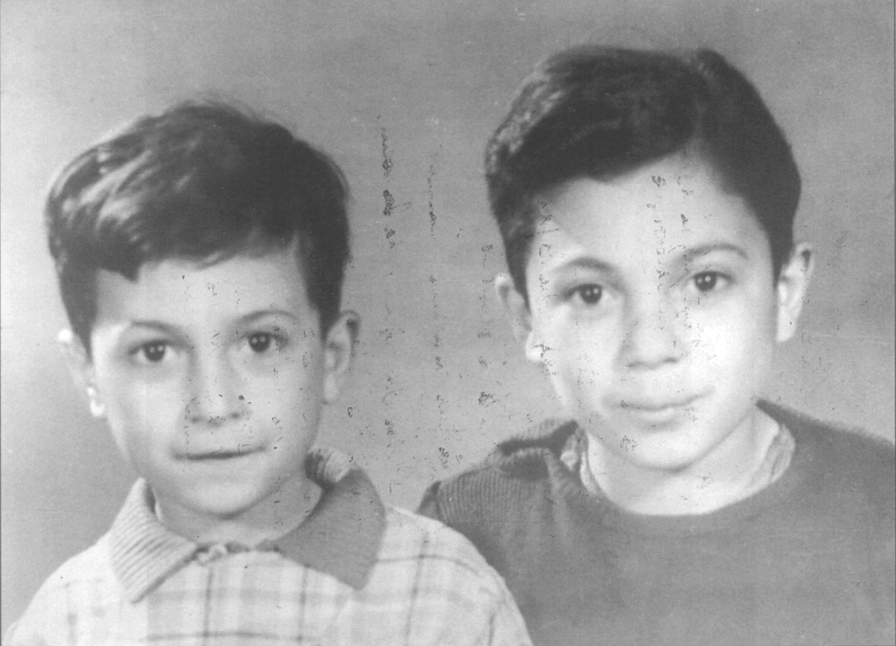 Habif boys