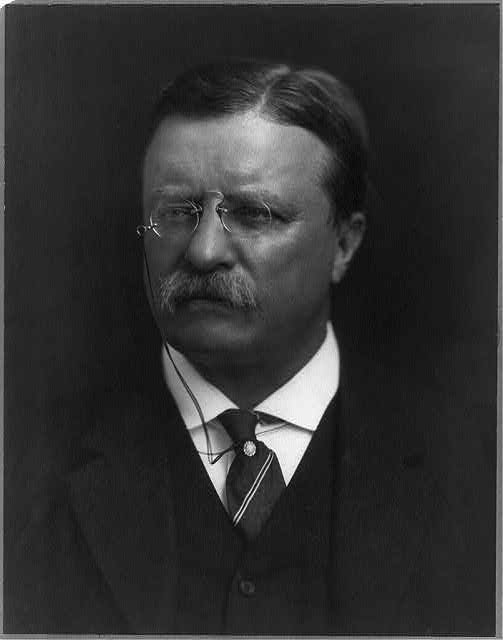 [Theodore Roosevelt]