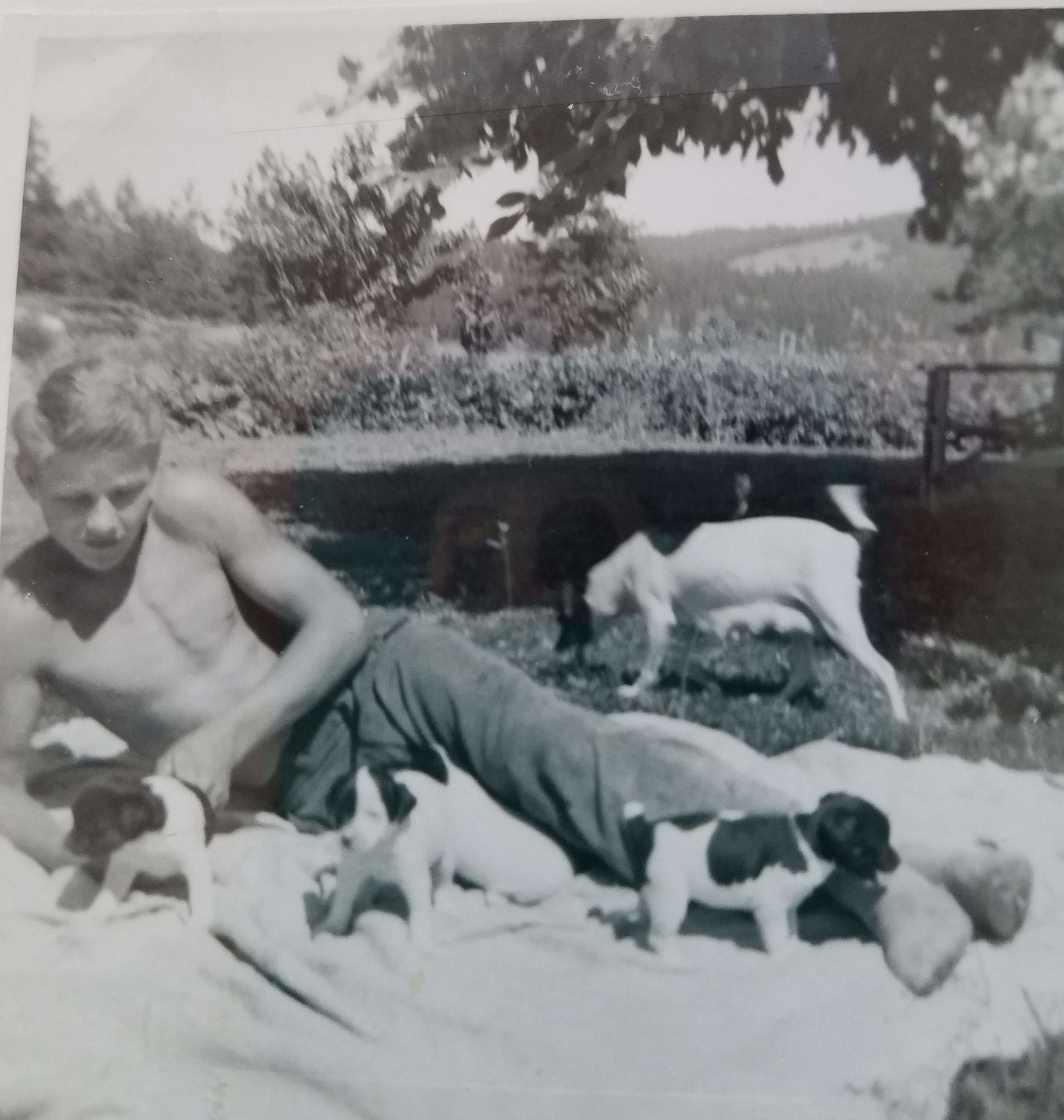Fred Lee  Sterritt