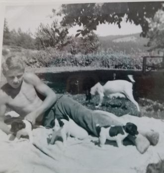 Fred Lee  Sterritt