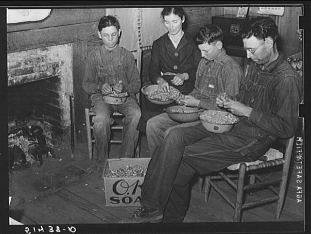 Mr. and Mrs. E.H. Wise and sons shelling peanuts around...