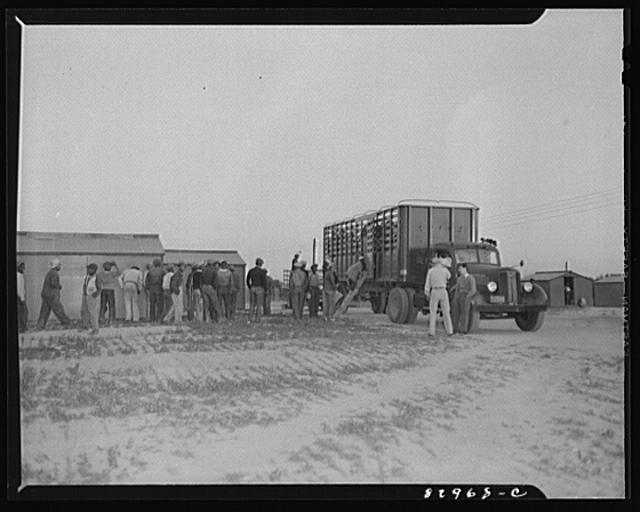Bridgeton, New Jersey. FSA (Farm Security Administration)...