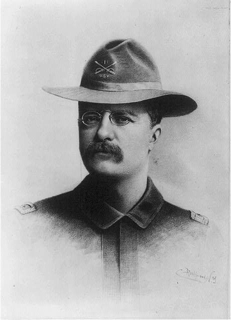 [Theodore Roosevelt, bust portrait, facing front]
