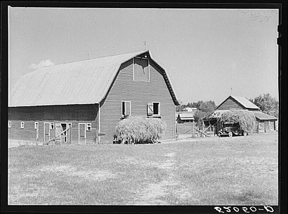 Stock barn with wagon and truck of hay on a very...