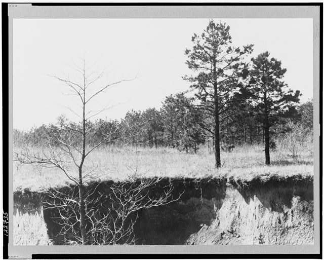 Erosion near Oxford, Mississippi