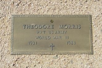 Theodore W Morris Jr