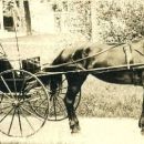 A photo of Peter Corriveau