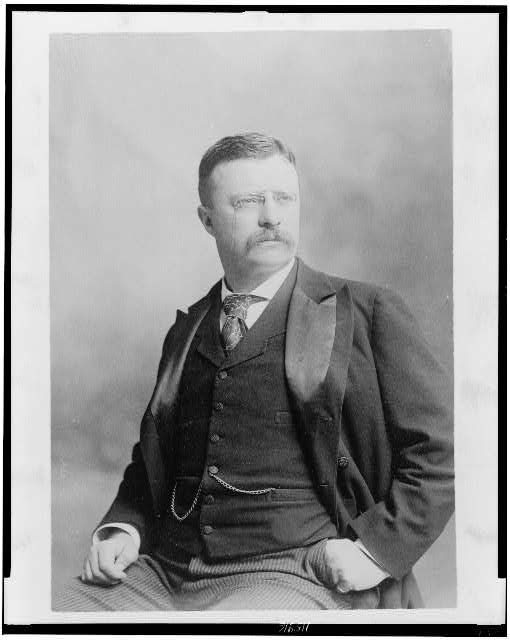 [Theodore Roosevelt, three-quarter length portrait,...