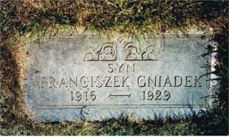 Franciszek  Gniadek Grave Marker, IL