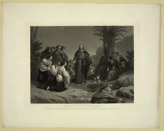 Parable of the lilies