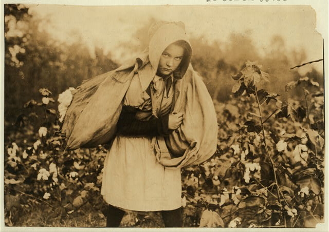 [Callie Campbell, 11 years old, picks 75 to 125 pounds of...
