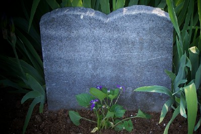 Robert & Ada Cline
