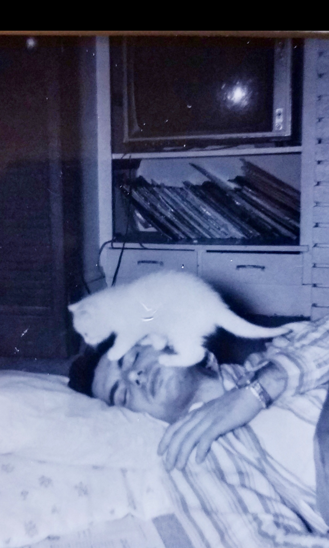 Joe Fazio