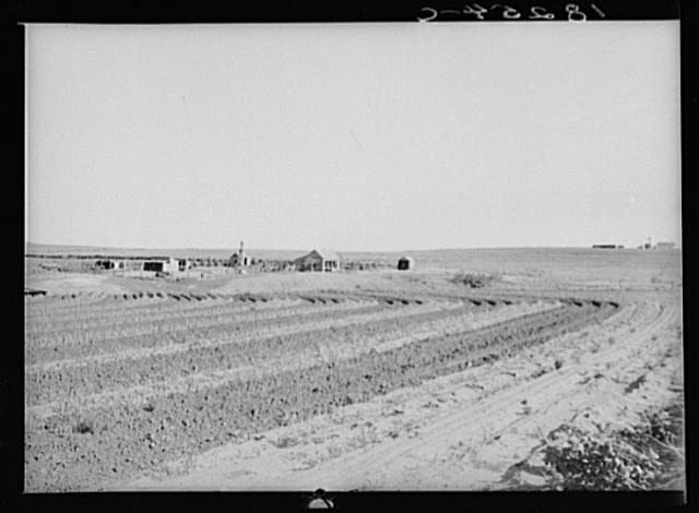 Strip cropping retains water and protects the soil from...