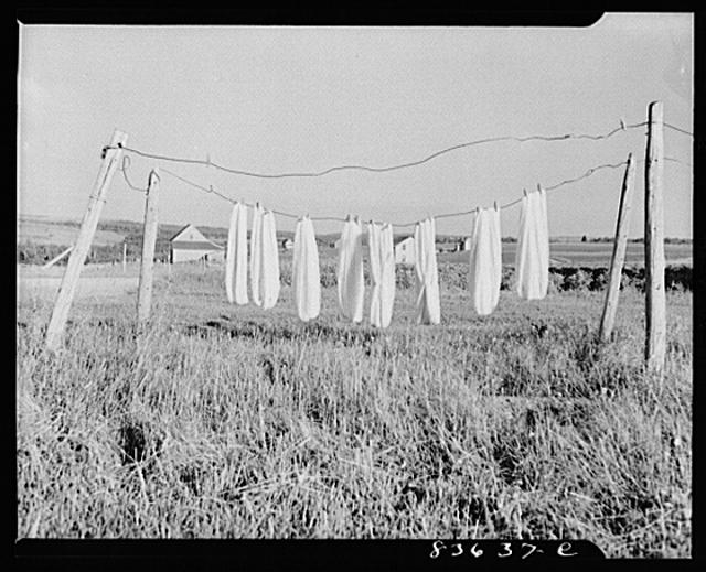 Van Buren, Maine. Wool airing on line before spinning