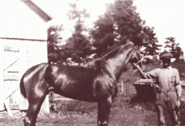Charles Mc Robbie farm