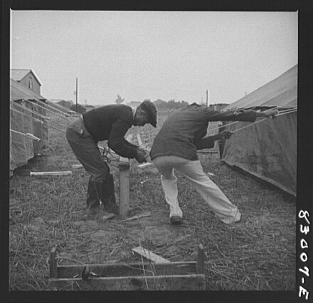 Bridgeton, New Jersey. FSA (Farm Security Administration)...
