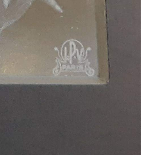This is the photographer's stamp on Lynn's photo