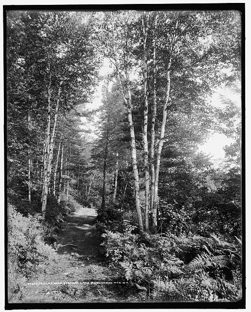 Douglas Road, Saranac Lake, Adirondack Mts., N.Y.