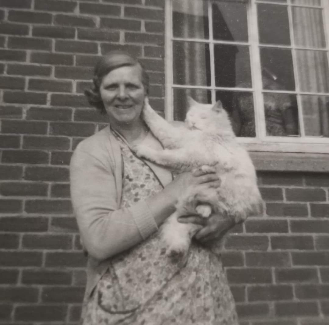Lilian Mary Rees, formerly Collett, née Ayris with pet cat 
