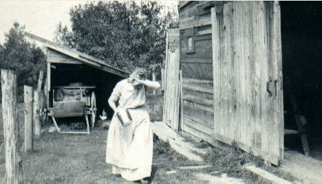 Mary Ann Healey in Barnyard