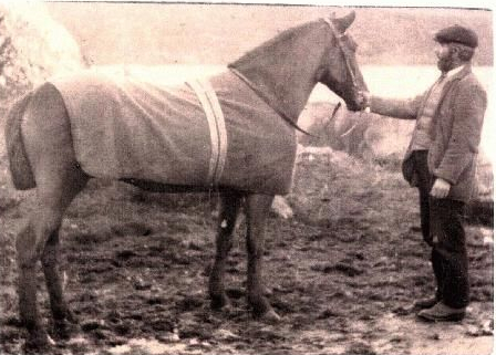 Thos. Connolly with Horse