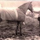 A photo of Thomas W Connolly
