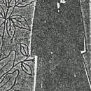 A photo of Nellie Steeples
